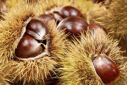 chestnut nutritional facts