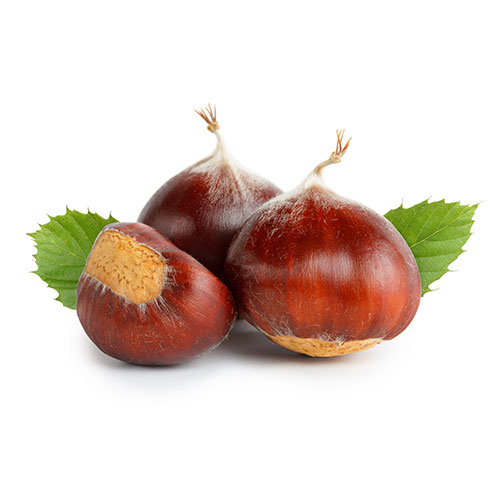 Fresh Chestnuts